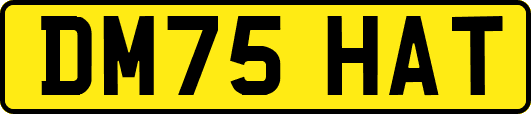 DM75HAT