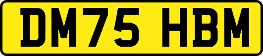 DM75HBM