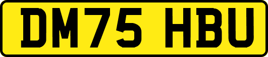 DM75HBU