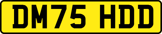 DM75HDD