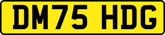 DM75HDG