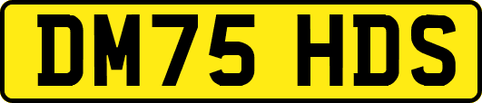 DM75HDS