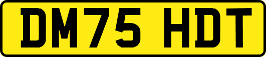DM75HDT