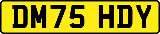 DM75HDY