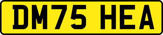 DM75HEA