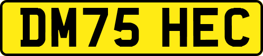DM75HEC