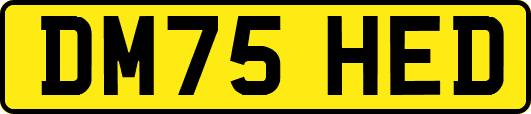 DM75HED