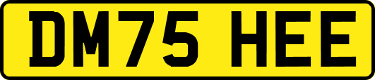 DM75HEE