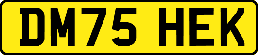 DM75HEK