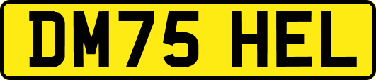 DM75HEL