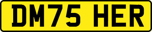 DM75HER