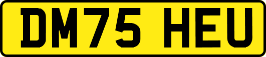 DM75HEU