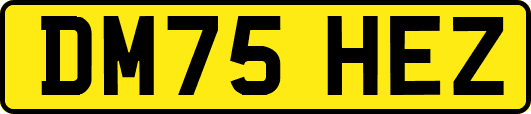 DM75HEZ