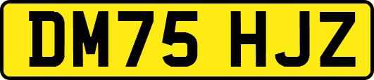 DM75HJZ