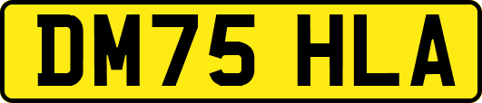 DM75HLA