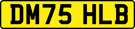 DM75HLB