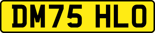DM75HLO
