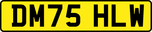 DM75HLW