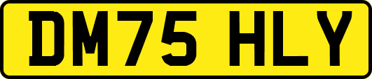 DM75HLY