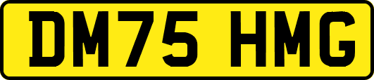 DM75HMG
