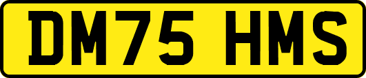 DM75HMS