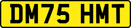 DM75HMT