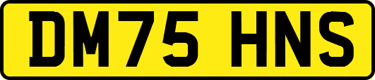 DM75HNS