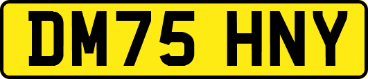 DM75HNY