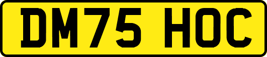 DM75HOC