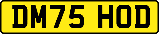 DM75HOD