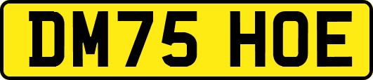 DM75HOE