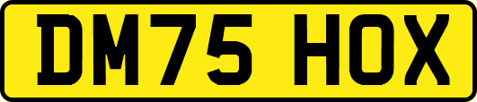 DM75HOX