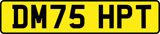 DM75HPT