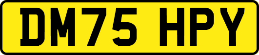 DM75HPY