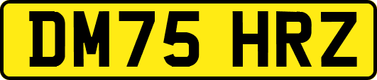 DM75HRZ