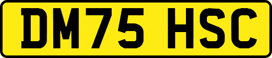 DM75HSC