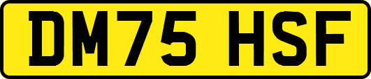 DM75HSF