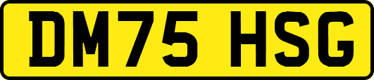 DM75HSG