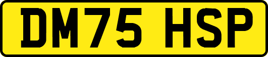 DM75HSP