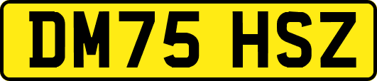 DM75HSZ