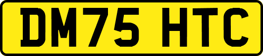 DM75HTC