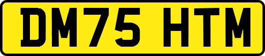 DM75HTM