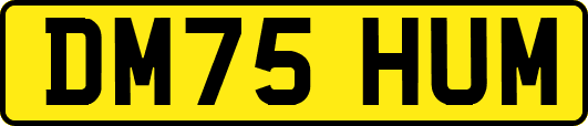 DM75HUM