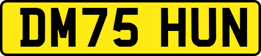 DM75HUN