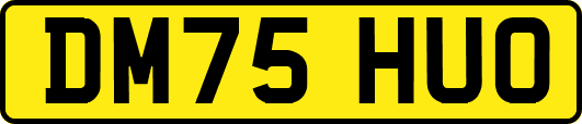 DM75HUO