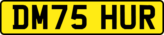 DM75HUR