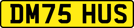 DM75HUS