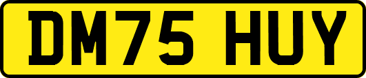 DM75HUY