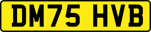 DM75HVB