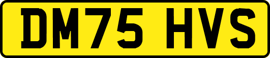 DM75HVS